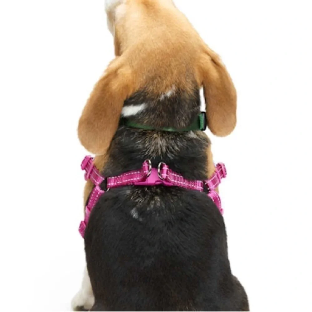 🆕 EVERYAY Pink Reflective Trim Dog Harness EMBRACE THE PACE SIZE XS / S